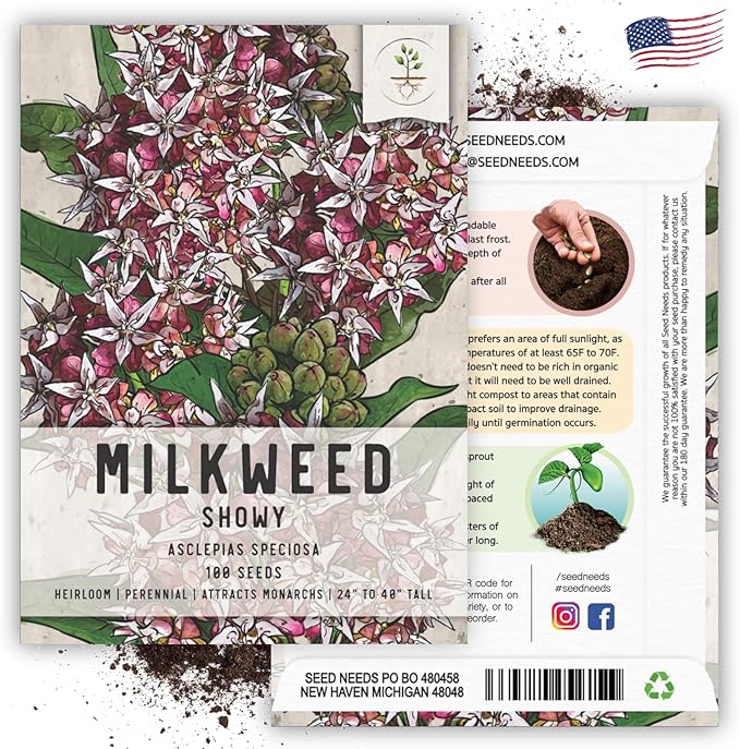Seed Needs Showy Milkweed Seeds for Planting - Untreated & Open Pollinated, Attracts Monarch Butterflies in a Butterfly Garden (2 Packs)