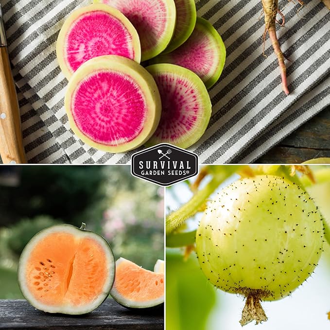Survival Garden Seeds Rare Exotic Heirloom Veg Collection - Purple Vienna Kohlrabi, Lemon Cucumber, Watermelon Radish, Opal Basil, Romanesco Broccoli, Tendersweet Orange Watermelon Vegetable Seeds