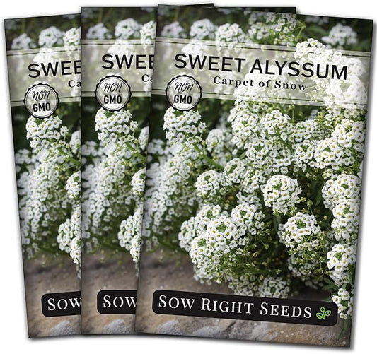 Sow Right Seeds - Sweet Alyssum White Carpet of Snow Flower Seeds for Planting - Non-GMO Heirloom Packet with Instructions to Plant in Your Garden - White Perennial - Groundcover with Blooms (3)