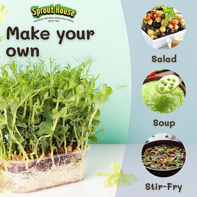 The Sprout House Green Peas – 1LB of Certified Organic Green Pea Sprouting Seeds – Plant, Sprout or Cook in Soup