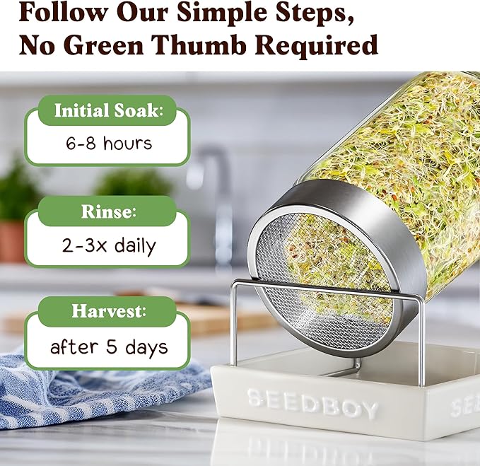 Organic Sprouting Seeds - Smoothie Blend - Non-GMO, USA Grown Microgreens Mix - Alfalfa, Broccoli, Clover, Red Kale - Makes 8 Quarts of Sprouts, 24 Servings (8 oz) (Smoothie Blend)