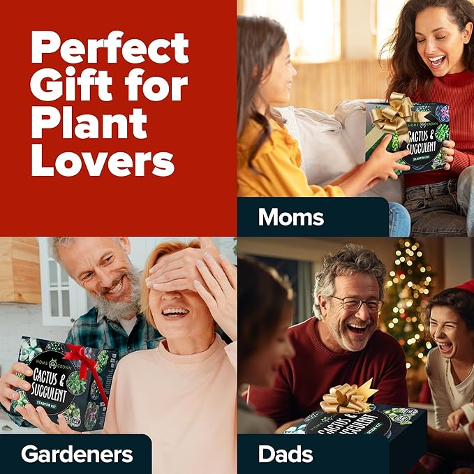 HOME GROWN Succulent & Cactus Seed Kit for Planting – Premium Starter Kit with 4 Planters, Drip Trays, Markers, Seed Mix, and Soil - Perfect DIY Gift for Plant Enthusiasts