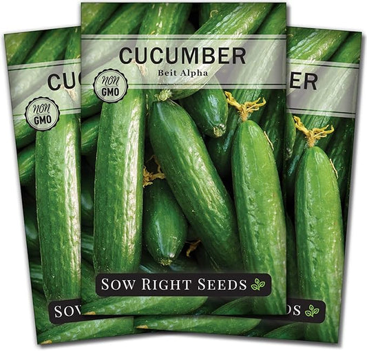 Sow Right Seeds - Beit Alpha Cucumber Seeds for Planting - Non-GMO Heirloom Packet with Instructions to Plant and Grow a Home Vegetable Garden - Start Indoors, Plant Outdoors with Trellis (3)