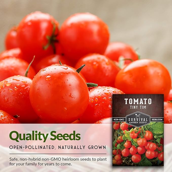 Survival Garden Seeds - Tiny Tim Tomato Seeds for Planting - 2 Packs with Instructions to Grow in Your Home Vegetable Garden - Non-GMO Heirloom Variety
