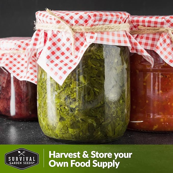 2 Packs Sorrel Seed for Planting - Packet with Instructions to Plant and Grow Rumex Acetosa Tangy Herb and Salad Greens in Your Home Vegetable Garden - Non-GMO Heirloom Variety - Survival Garden Seeds