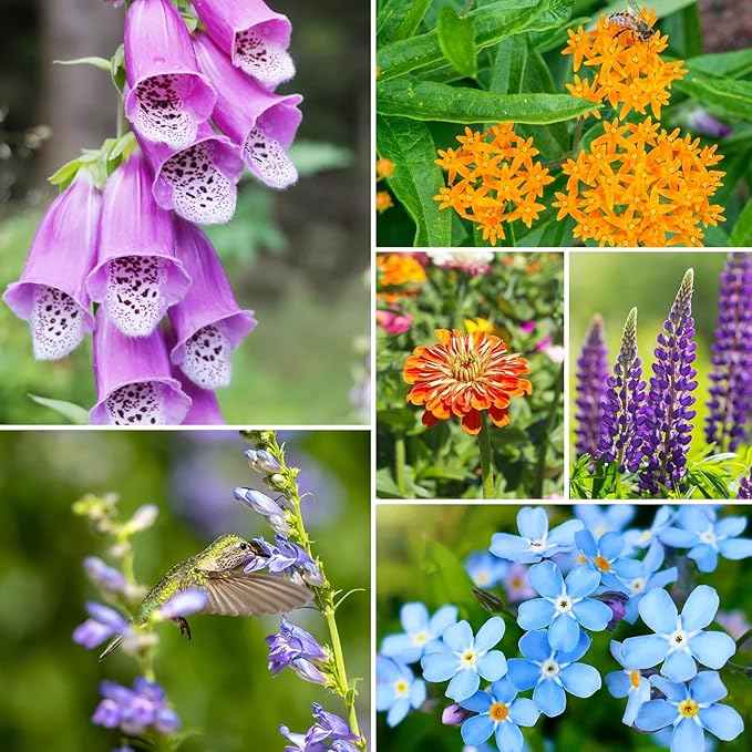 Wildflower Seeds Mix, 2 Oz, 50,000+ Seeds, 28 Varieties Flowers Seeds for Planting, Annual Perennial Garden Seeds to Attract Bees, Butterflies & Birds