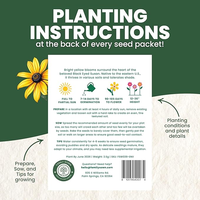 Black Eyed Susan - Large 2,500mg Envelope - 6,000 Flower Seeds for Planting - Rudbeckia hirta