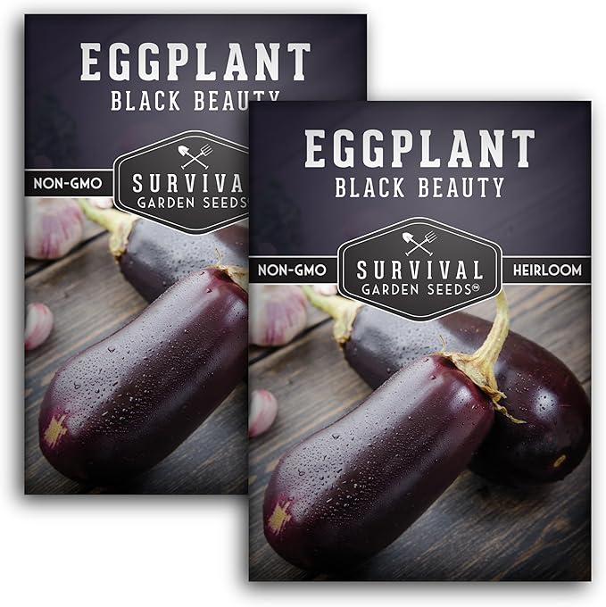 2 Packs Black Beauty Eggplant Seed for Planting - Packet with Instructions to Grow Purple Aubergine Plants in Your Home Vegetable Garden - Non-GMO Heirloom Variety - Survival Garden Seeds