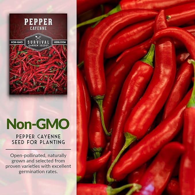 Survival Garden Seeds - Red Cayenne Pepper Seed for Planting - 3 Packets with Instructions to Plant and Grow Hot Chili Peppers in Your Home Vegetable Garden - Non-GMO Heirloom Variety - Chili Seed