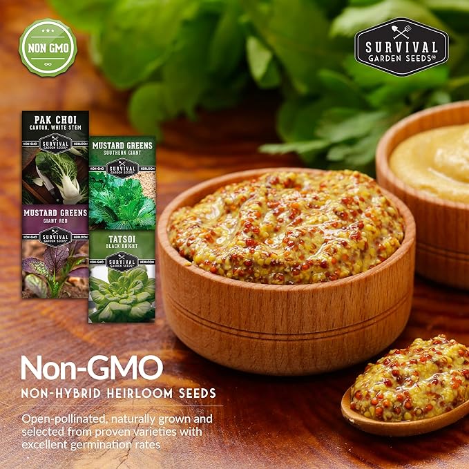 Mustard Green Seed Collection - 4 Packets for Planting Black Knight Tatsoi, Canton White Stem Pak Choi, Giant Red & Southern Giant Mustard Greens - Non-GMO Heirloom Varieties - Survival Garden Seeds