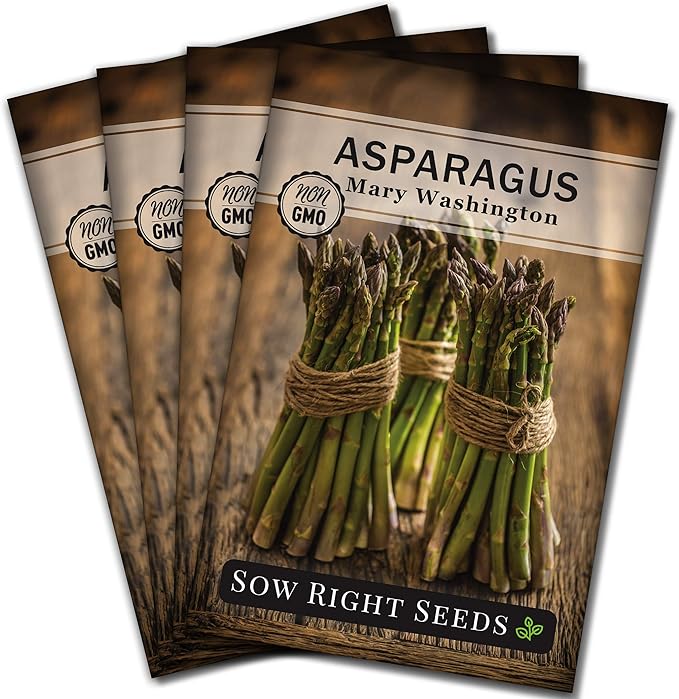 Sow Right Seeds - Mary Washington Asparagus Seed for Planting - Non-GMO Heirloom Packet with Instructions to Plant an Outdoor Home Vegetable Garden - Classic Perennial Stalks with Hearty Flavor (4)