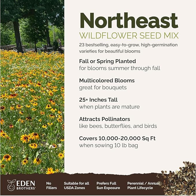 Eden Brothers Northeast Wildflower Mixed Seeds for Planting, 10 lb, 4,800,000+ Seeds with Cosmos, Candytuft, Shasta Daisy | Attracts Pollinators, Plant in Spring or Fall, Zones 3, 4, 5, 6, 7, 8, 9, 10