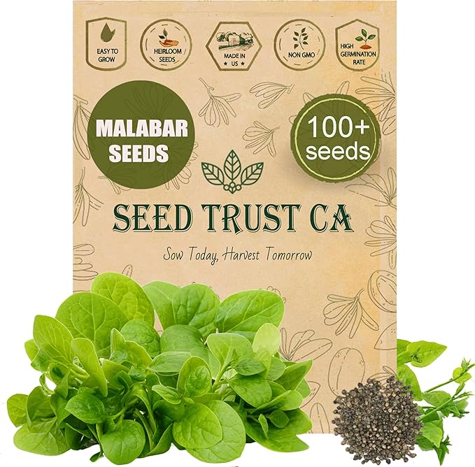 Malabar Spinach Seeds – 100+ Non-GMO, High-Yielding Malabar Variety Heirloom Seeds – High Germination Rate, Easy to Grow, Nutritious Tropical Leafy Green – USA (Malabar)