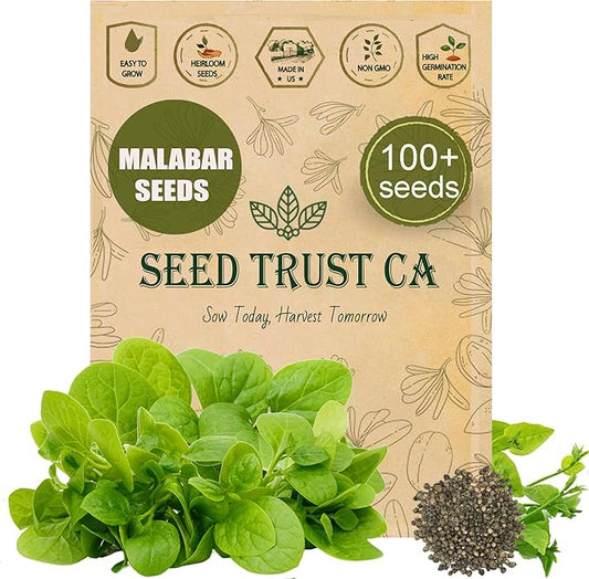 Malabar Spinach Seeds – 100+ Non-GMO, High-Yielding Malabar Variety Heirloom Seeds – High Germination Rate, Easy to Grow, Nutritious Tropical Leafy Green – USA (Malabar)