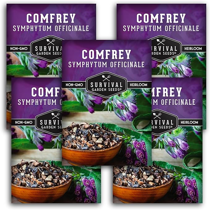 Survival Garden Seeds Comfrey Seed for Planting - 5 Packets with Instructions to Plant and Grow Slippery Root Plants in Your Home Herb Garden - Symphytum officinale - Non-GMO Heirloom Seed Variety