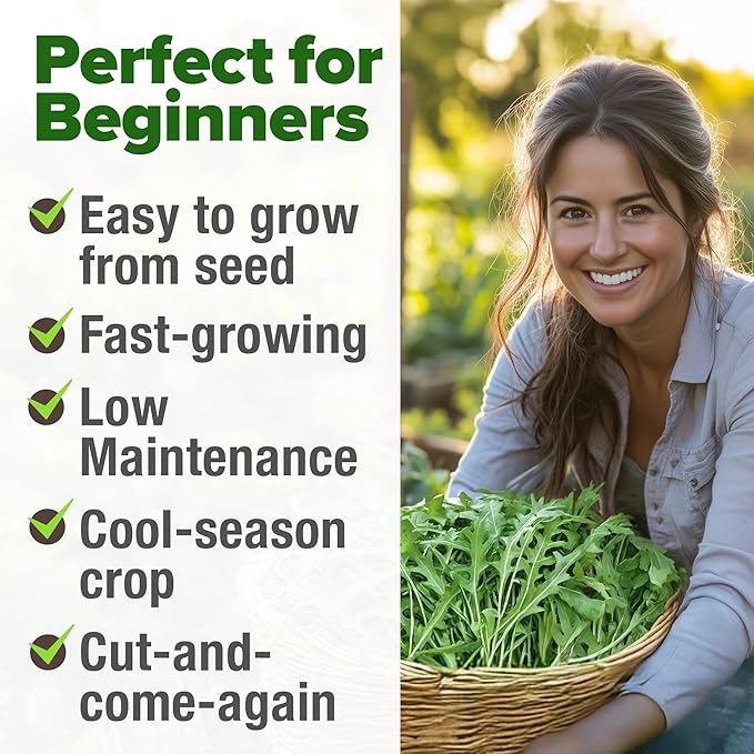 HOME GROWN Arugula Roquette Seeds 2 Pack (9g) 4350 Non-GMO Heirloom Arugula Seeds for Planting - Best for Outdoor Gardens, Providing Fast-Growing Greens for Salads and Sandwiches - Eruca vesicaria