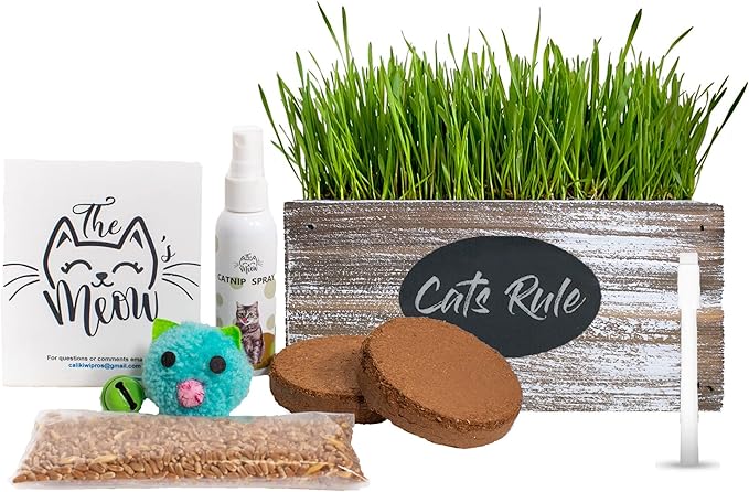 Ornamental Indoor Planter with Pet/Cat Grass Growing kit, Handcrafted in The USA from Red Cedar (Whitewash)