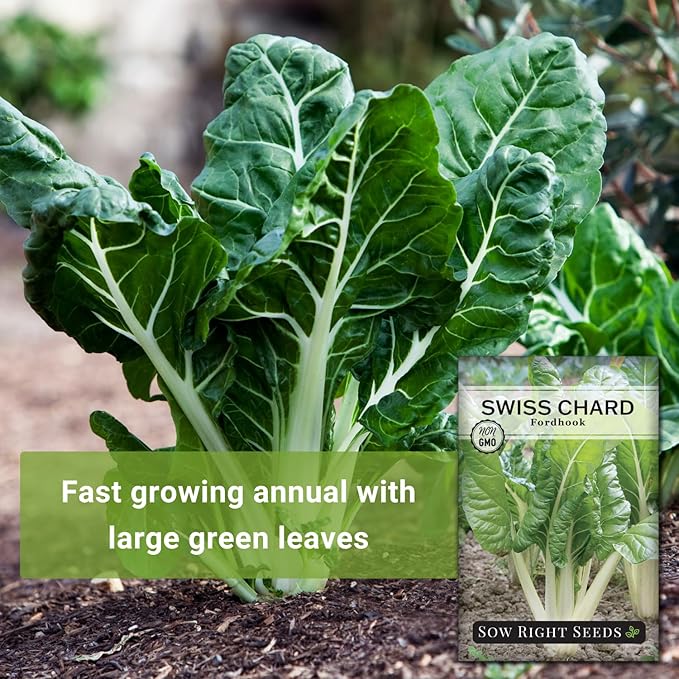 Sow Right Seeds - Fordhook Swiss Chard Seed for Planting - Non-GMO Heirloom Packet with Instructions to Plant and Grow an Outdoor Home Vegetable Garden - Nutritious, Flavorful - Great Gift (2)
