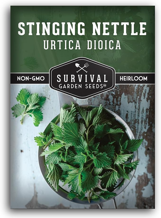 Stinging Nettle Seed for Planting - 1 Packet with Instructions to Plant and Grow Medicinal Herb Common Stinging Nettle in Your Home Herb Garden - Non-GMO Heirloom Variety - Survival Garden Seeds