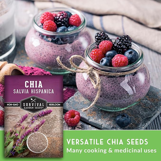 Mexican Chia Seed for Planting - 3 Packets with Instructions to Plant and Grow Mexican Chia in Your Home Vegetable Garden - Non-GMO Heirloom Variety - Survival Garden Seeds