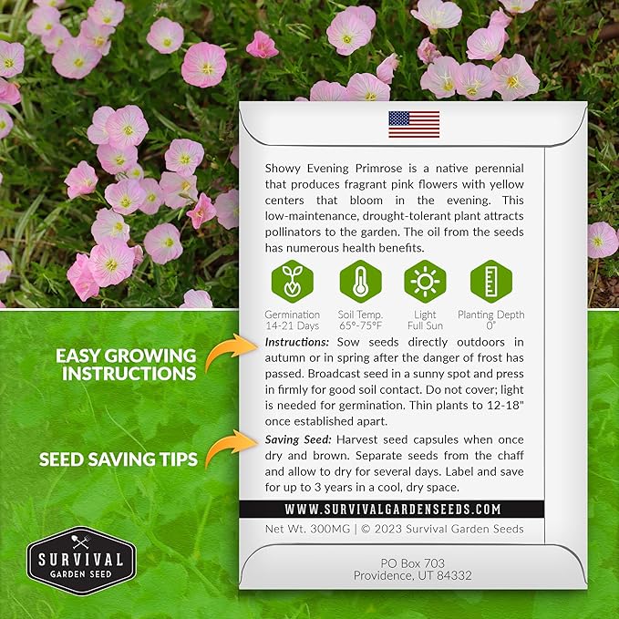 Showy Evening Primrose Seed for Planting - 1 Packet with Instructions to Plant and Grow Pinkladies in Your Home Flower Garden - Non-GMO Heirloom Variety - Survival Garden Seeds - Mexican Primrose