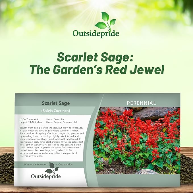 Outsidepride Salvia Coccinea Scarlet Sage Seeds for Planting - 5000 Pcs Perennial, Heat-Tolerant Wildflower Seeds w/Red Blooms, Attracts Hummingbirds & Butterflies for Pollinator-Friendly Gardens