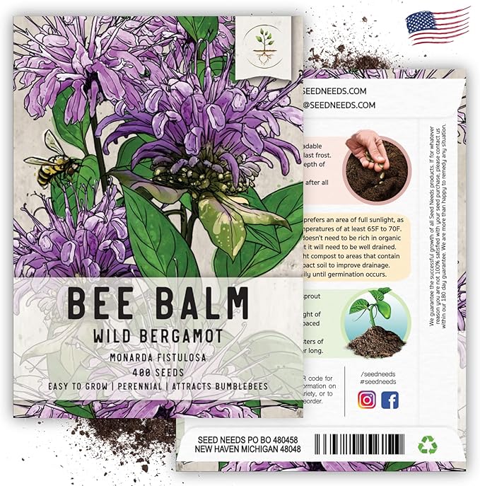Seed Needs, Wild Bergamot Bee Balm Seeds - 400 Heirloom Seeds for Planting Monarda fistulosa - Attracts Honeybees, Bumblebees, Butterflies & Other Pollinators (1 Pack)