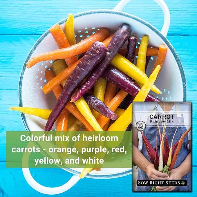 Sow Right Seeds - Rainbow Mix Carrot Seed for Planting - Non-GMO Heirloom Packet with Instructions to Plant a Home Vegetable Garden - Orange, Red, Purple, White Variety Mix for Colorful Harvest (1)