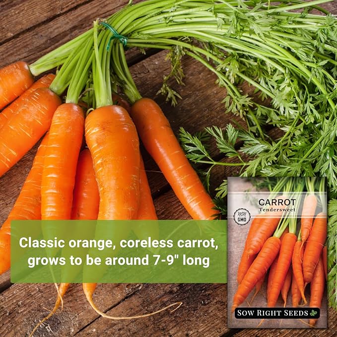 Sow Right Seeds - Tendersweet Carrot Seeds for Planting - Non-GMO Heirloom Packet with Instructions to Plant & Grow an Outdoor Home Vegetable Garden - Coreless Market Variety - Makes a Great Gift (1)