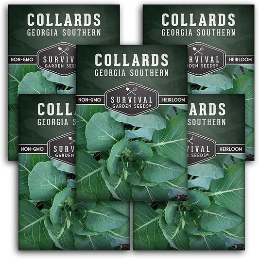 Survival Garden Seeds - Georgia Southern Collards Seed for Planting - Pack with Instructions to Plant and Grow Healthy Collard Greens in Your Home Vegetable Garden - Non-GMO Heirloom Variety - 5 Packs