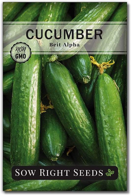 Sow Right Seeds - Beit Alpha Cucumber Seeds for Planting - Non-GMO Heirloom Packet with Instructions to Plant and Grow a Home Vegetable Garden - Start Indoors, Plant Outdoors with Trellis (1)