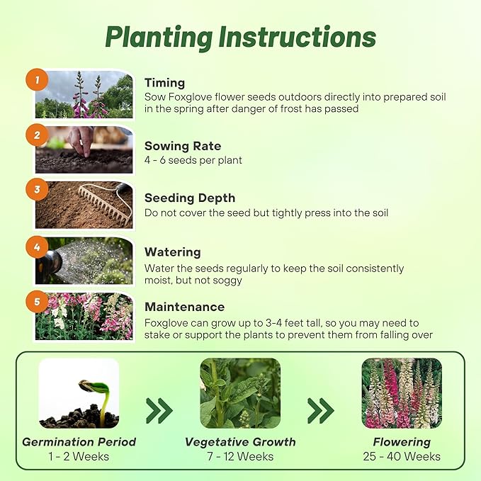 Outsidepride Digitalis Purpurea Foxy Foxglove Seeds – 10000 Pcs Biennial, Prolific, Tall Growing Flower Seeds w/Pollinator-Friendly Blooms for Shaded Gardens & Outdoor Landscapes (AAS Winner)