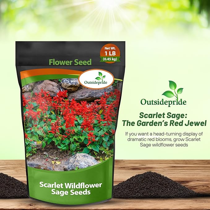 Outsidepride Salvia Coccinea Scarlet Sage Seeds for Planting - 1 Lb. Perennial, Heat-Tolerant Wildflower Seeds w/Red Blooms, Attracts Hummingbirds & Butterflies for Pollinator-Friendly Gardens