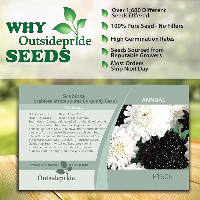 Outsidepride 200 Seeds Perennial Night & Day Scabiosa Pincushion Flower Seed Mix for Planting