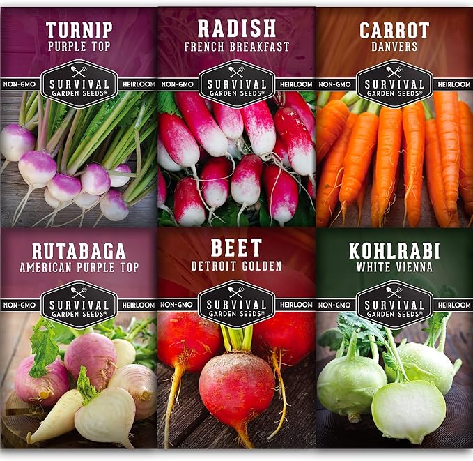 Survival Garden Seeds Root Vegetable Seed Collection - 6 Packs: Danvers Carrot, Purple Top Turnip, French Breakfast Radish, Kohlrabi, Rutabaga, Golden Beet - Non-GMO Heirloom Open-Pollinated Seeds