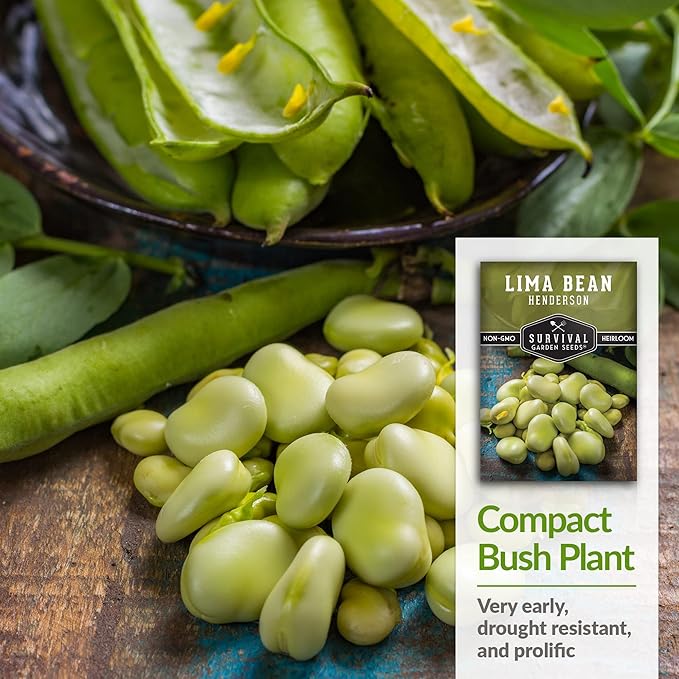 Survival Garden Seeds - Henderson Lima Bean Seed for Planting - 3 Packs with Instructions to Plant and Grow Tender White Butter Beans in Your Home Vegetable Garden - Non-GMO Heirloom Variety