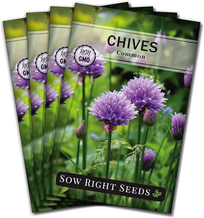Sow Right Seeds - Common Chives Seed for Planting - Non-GMO Heirloom Packet with Instructions to Plant and Grow Kitchen Herb Garden Indoor or Outdoor - Mild Onion Flavor (4)