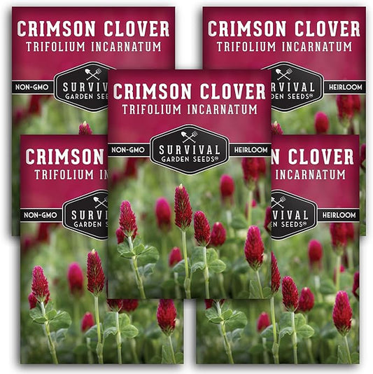 Crimson Clover Seed for Planting - 5 Packets with Instructions to Plant & Grow Flowers or Cover Crop in Your Home Vegetable Garden - Non-GMO Heirloom Variety - Survival Garden Seeds