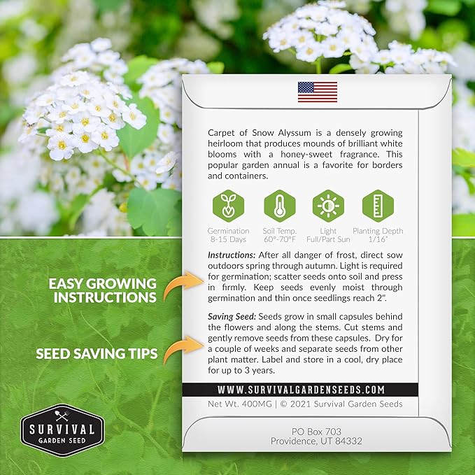 2 Packs Carpet of Snow Alyssum Seed for Planting with Instructions to Grow Lobularia maritima in Your Home Flower or Vegetable Garden - Non-GMO Heirloom - Survival Garden Seeds