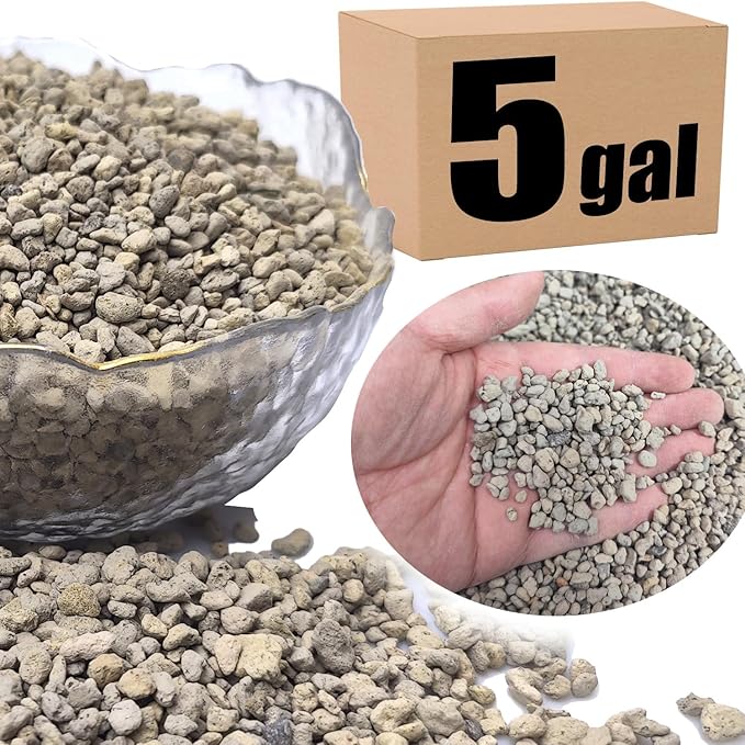 Organic Pumice for Bonsai and Horticultural 100% Natural- (5 gallons, 1/4 inch)
