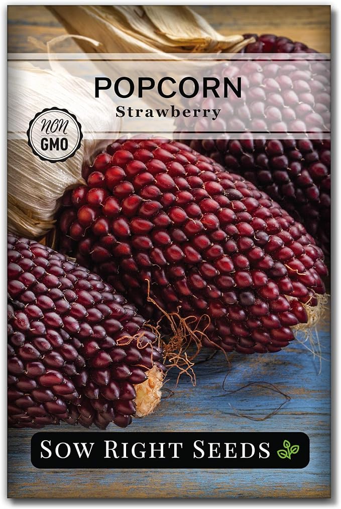 Sow Right Seeds - Strawberry Pop Corn Seed for Planting - Non-GMO Heirloom Packet with Instructions to Plant a Home Vegetable Garden - Grow Your Own Popping Kernels - Short Red Variety (1)