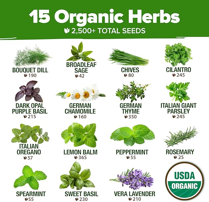 HOME GROWN 15 Organic Herb Seeds Variety Pack 2,500+ Non GMO, High-Germinating, Heirloom Seeds for Planting Indoor or Outdoor Herb Garden, Hydroponics Garden Seeds, Basil, Cilantro & More