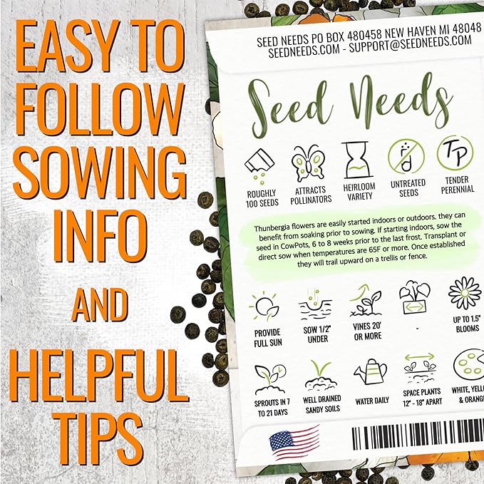 Seed Needs, Black-Eyed Susan Vine Seeds - 100 Heirloom Seeds for Planting Thunbergia alata - Annual Vining Flowers to Cover a Fence or Trellis (2 Packs)