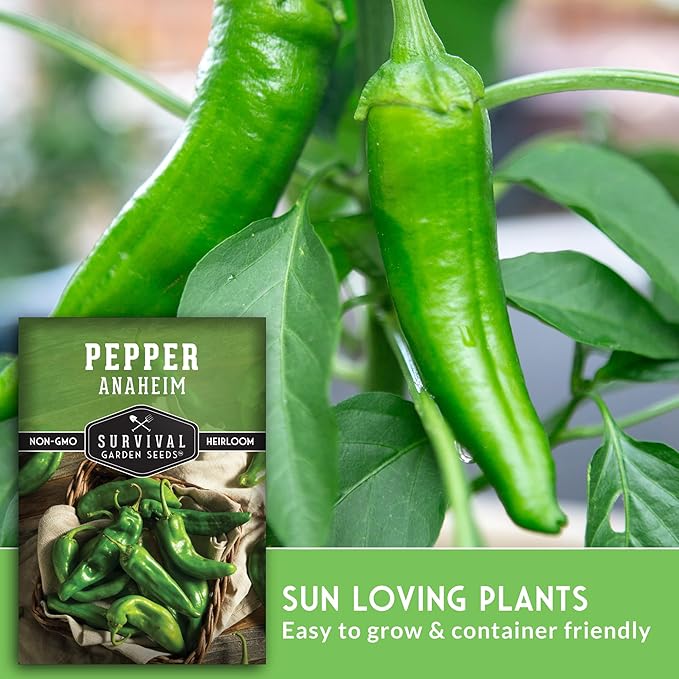Survival Garden Seeds Anaheim Chili Pepper Seed for Planting - 5 Packets with Instructions to Plant & Grow Mild to Medium Hot Chile Peppers in Your Home Vegetable Garden - Non-GMO Heirloom Variety