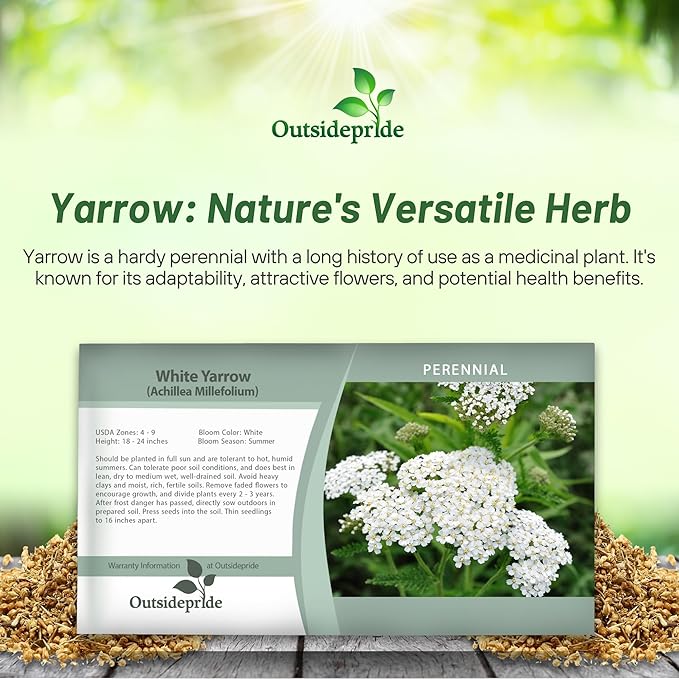 Outsidepride Achillea Millefolium Wild White Yarrow Seeds - 5000 Pcs Perennial Flower Seeds, Drought Resistant, Low Maintenance & Easy Planting for Beautiful Garden & Fireflies Attraction