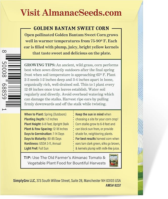 The Old Farmer's Almanac Heirloom Sweet Corn Seeds (Golden Bantam) - Approx 75 Seeds - Non-GMO, Open Pollinated, USA Origin