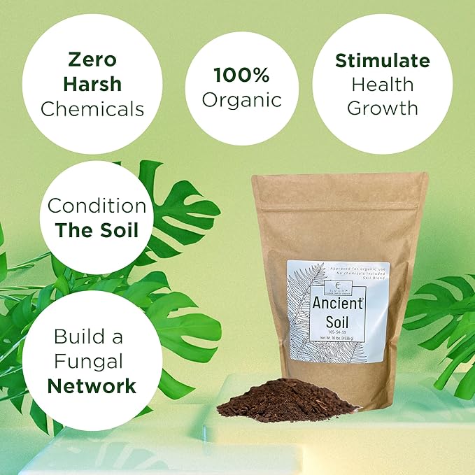 Elm Dirt Premium Ancient Soil for All Plants - Organic Plant Soil for Outdoor Plants & Indoor Plant Soil | Garden Soil for Plant Nutrients Growth & Protect your Plants Bugs - Roots Organic Soil, 10lbs