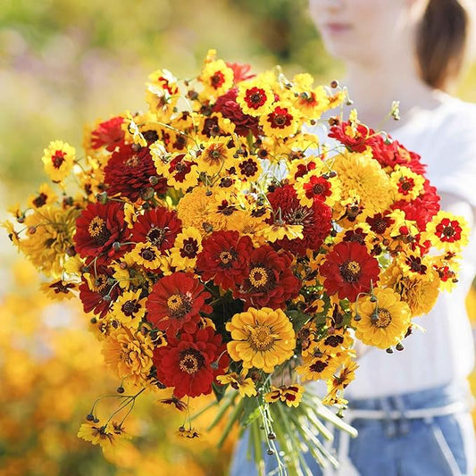 Eden Brothers Fiery Flower Mixed Seeds for Planting, 5 lb, 2,400,000+ Seeds with Zinnia Scarlet Flame, Plains Coreopsis | Attracts Pollinators, Plant in Spring or Fall, Zones 3, 4, 5, 6, 7, 8, 9, 10