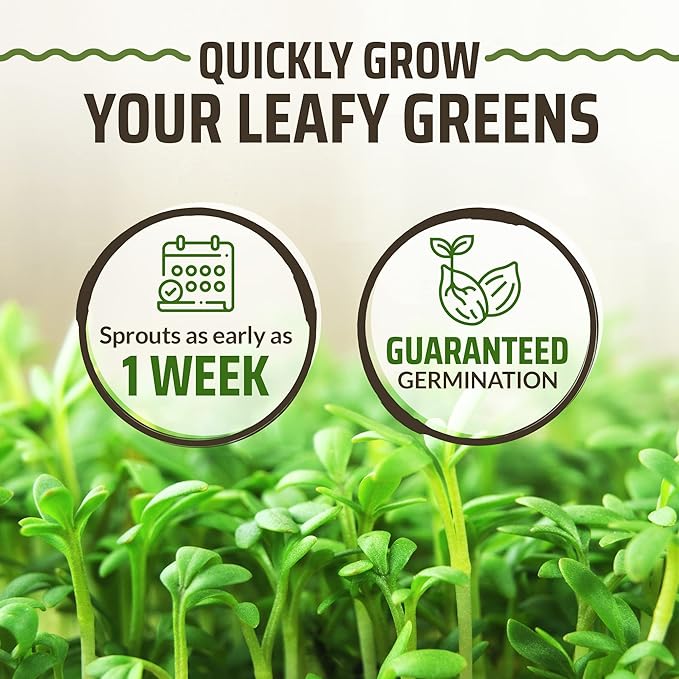 Rooted Acre 15 Lettuce & Green Seeds Pack | Non-GMO Heirloom Seeds | Garden Salad Greens Seeds | Hydroponic Vegetable Seeds for Planting Indoor | Romaine, Kale, Spinach, Arugula, & Butter Lettuce Seed