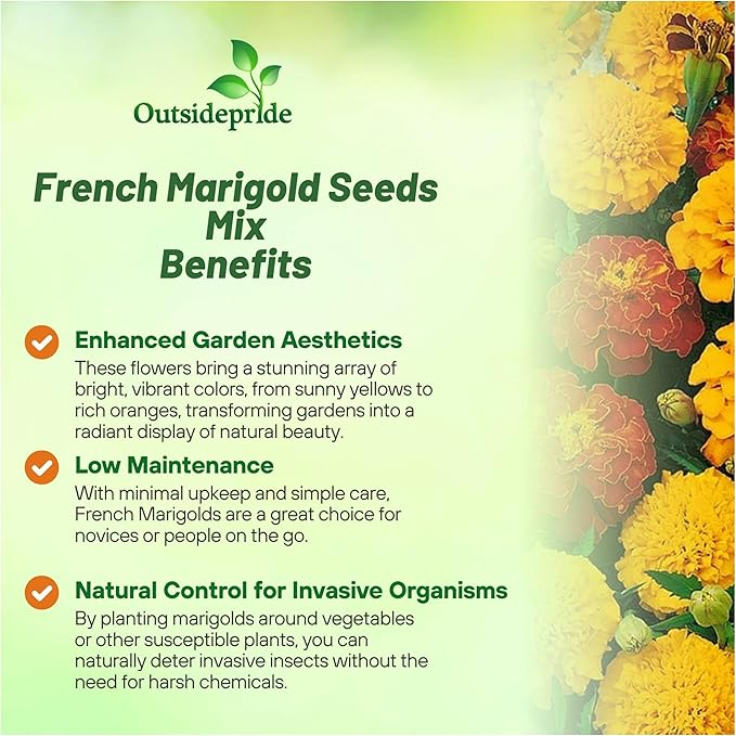 Outsidepride French Marigold Seeds Mix - 1 Lb. Annual, Compact, Heat & Drought Tolerant Flower Seeds for Planting w/Orange & Yellow Prolific Blooms, Ideal for Vibrant Pollinator Gardens